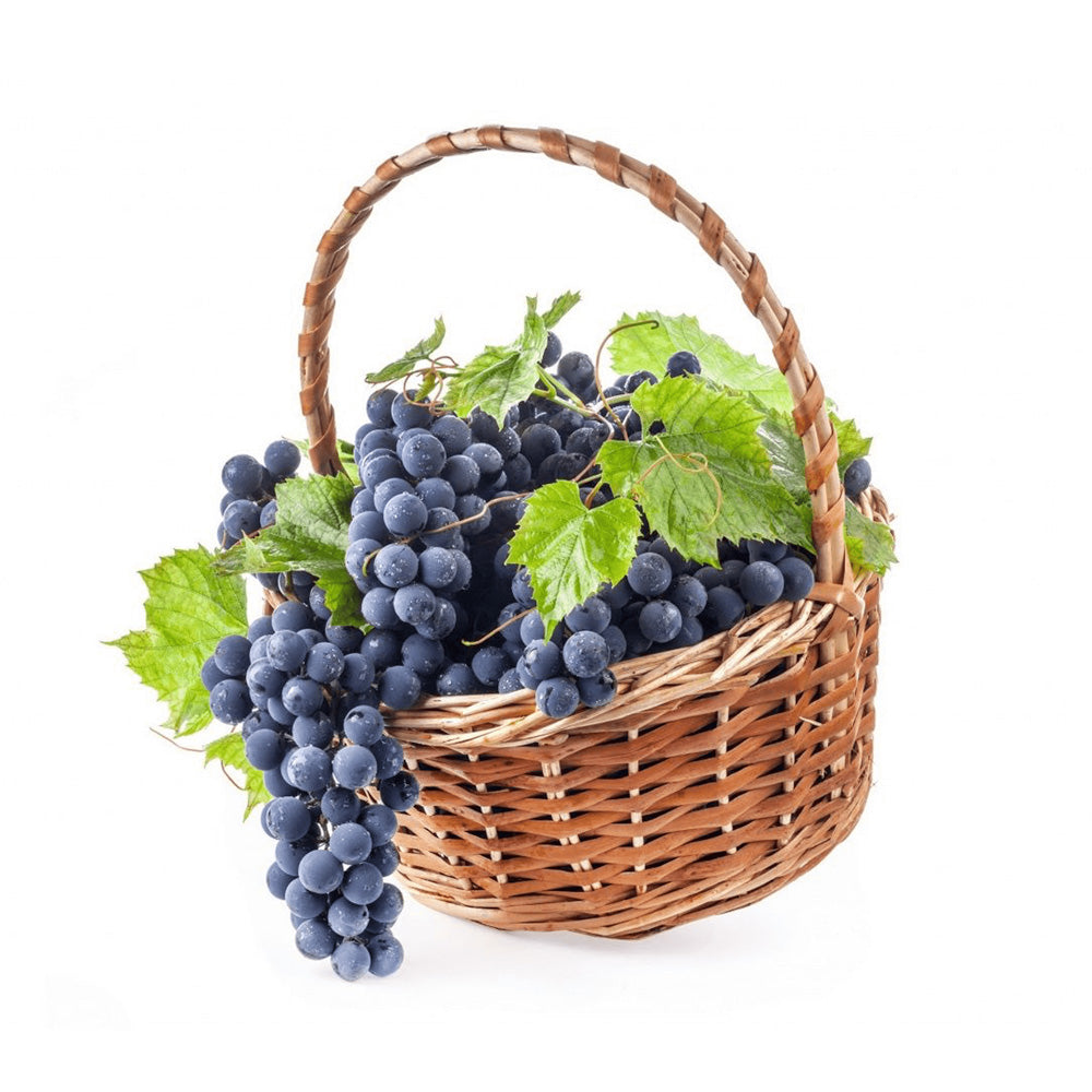 مجموعة مكبرات الصوت النحاسية المذهلة 19